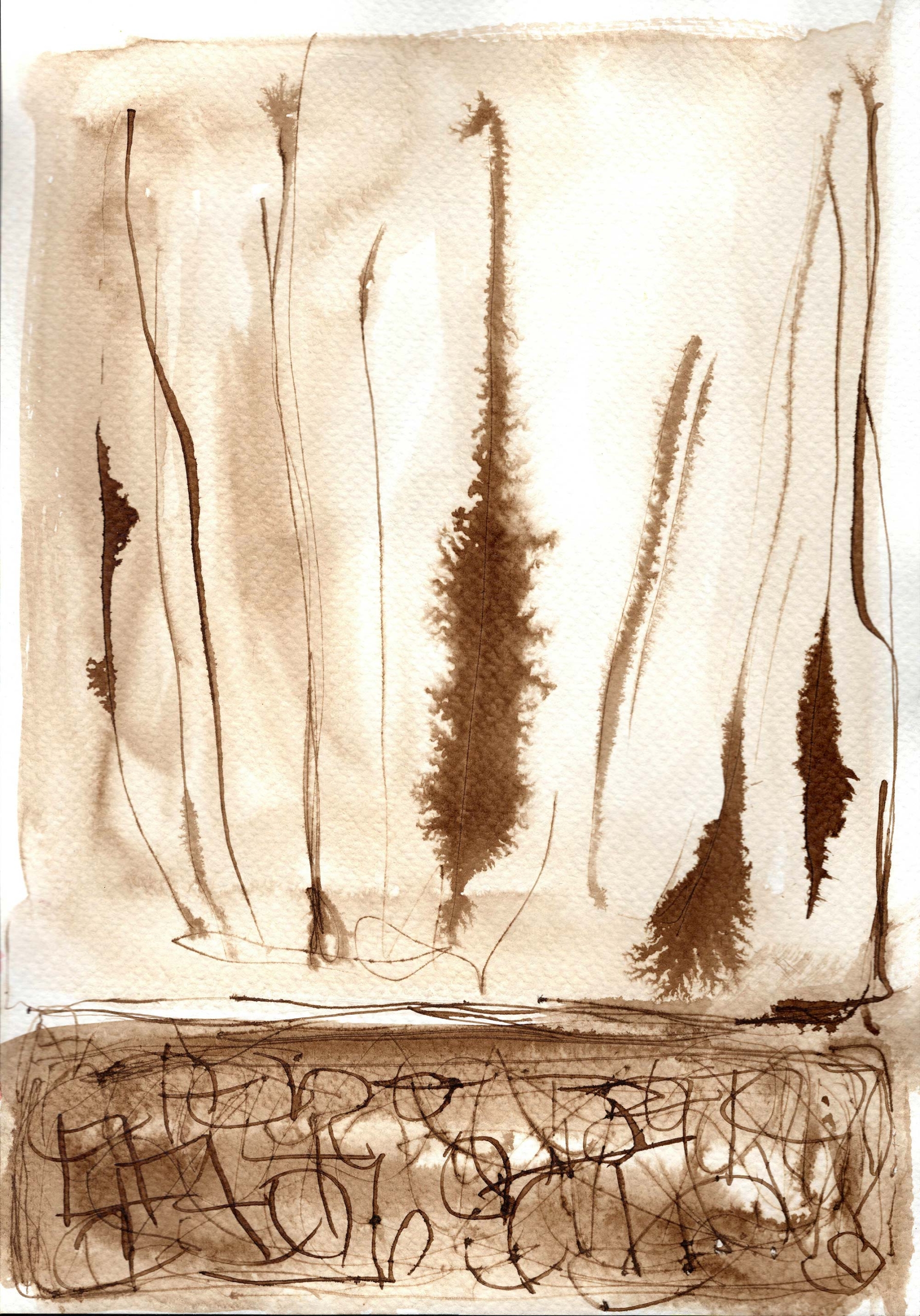 swamp walnut ink